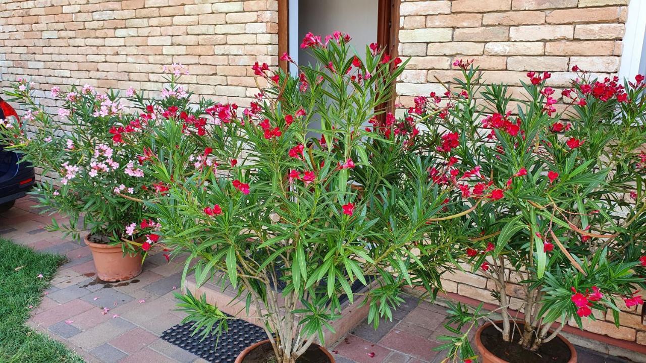 Wellapartman زاماردي المظهر الخارجي الصورة